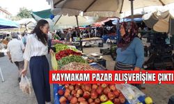 KAYMAKAM PAZAR ALIŞVERİŞİNE ÇIKTI