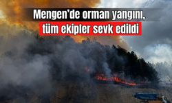 Mengen’de orman yangını, tüm ekipler sevk edildi