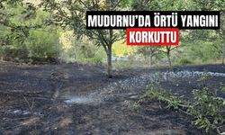 MUDURNU’DA ÖRTÜ YANGINI KORKUTTU