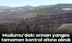 Mudurnu’daki orman yangını tamamen kontrol altına alındı