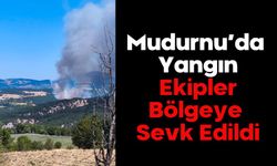 Mudurnu’da Yangın: Ekipler Bölgeye Sevk Edildi