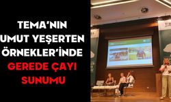 TEMA’NIN ‘UMUT YEŞERTEN ÖRNEKLER’İNDE GEREDE ÇAYI SUNUMU