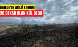 Gerede’de Arazi Yangını: 20 Dekar Alan Kül Oldu