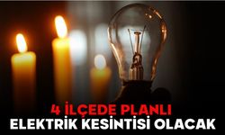 4 İLÇEDE PLANLI ELEKTRİK KESİNTİSİ OLACAK