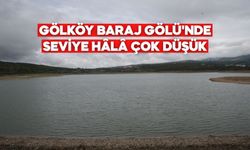 GÖLKÖY BARAJ GÖLÜ'NDE SEVİYE HÂLÂ ÇOK DÜŞÜK
