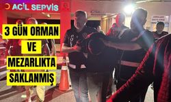 Bolu'da Yaylayı Yakan Zanlı, Şehir Sokaklarında Yakalandı