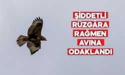 ŞİDDETLİ RÜZGÂRA RAĞMEN AVINA ODAKLANDI