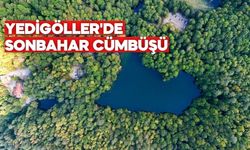 YEDİGÖLLER'DE SONBAHAR CÜMBÜŞÜ
