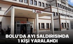 BOLU'DA AYI SALDIRISINDA 1 KİŞİ YARALANDI