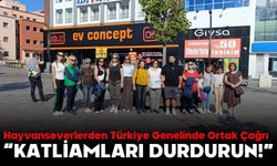Hayvanseverlerden Türkiye Genelinde Ortak Çağrı  “KATLİAMLARI DURDURUN!”