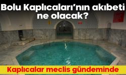 Bolu Kaplıcaları’nın akıbeti ne olacak?  Kaplıcalar meclis gündeminde