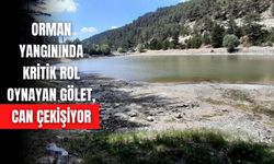 ORMAN YANGININDA KRİTİK ROL OYNAYAN GÖLET, CAN ÇEKİŞİYOR
