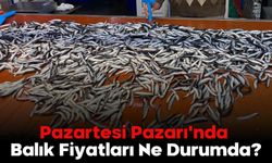 Pazartesi Pazarı'nda Balık Fiyatları Ne Durumda?
