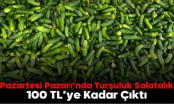 Pazartesi Pazarı’nda Turşuluk Salatalık 100 TL’ye Kadar Çıktı