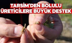 TARSİM’DEN BOLULU ÜRETİCİLERE BÜYÜK DESTEK