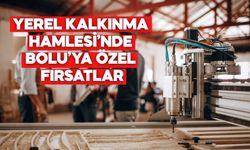 YEREL KALKINMA HAMLESİ’NDE BOLU’YA ÖZEL FIRSATLAR