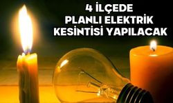 4 ilçede planlı elektrik kesintisi yapılacak