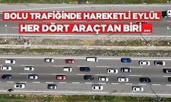 Hibrit ve Elektrikli Araçlar Bolu Yollarında Artıyor