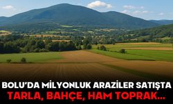 Bolu’da Milyonluk Araziler Satışta!  Tarla, Bahçe, Ham Toprak…