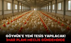 GÖYNÜK’E YENİ TESİS YAPILACAK!  İmar Planı Meclis Gündeminde