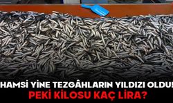 Hamsi Yine Tezgâhların Yıldızı Oldu! PEKİ KİLOSU KAÇ LİRA?
