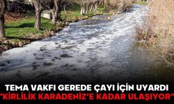 TEMA Vakfı Gerede Çayı İçin Uyardı  “KİRLİLİK KARADENİZ’E KADAR ULAŞIYOR”