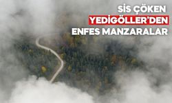 Yedigöller Bu Kez Sisin Altında Nefes Kesti