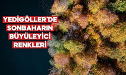 Yedigöller Milli Parkı sonbahar renklerine büründü | Bolu’nun orman denizi havadan görüntülendi