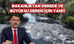 Bakanlıktan Gerede ve Büyüksu Deresi Açıklaması: Uygunsuz Deşarjlara Yaptırım, Arıtma Tesisi Genişletiliyor