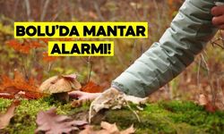 Bolu’da Mantar Zehirlenmesi Vakaları Neden Arttı? Sağlık Müdürlüğü Açıkladı