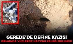 GEREDE'DE DEFİNE KAZISI!  ORMANDA YÜZLERCE HAYVAN KEMİĞİ BULUNDU