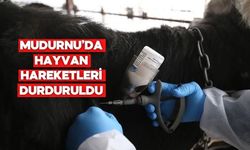 Mudurnu’da Şap Hastalığı Nedeniyle 18 Köy ve 4 Mahalle Karantinaya Alındı