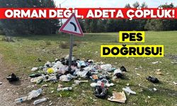 Bolu’da Mantar Toplayan Vatandaşlar Çöplerle Karşılaştı!