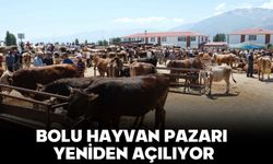 BOLU HAYVAN PAZARI YENİDEN AÇILIYOR