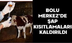 BOLU MERKEZ’DE ŞAP KISITLAMALARI KALDIRILDI, HAYVAN PAZARI AÇILDI