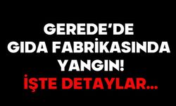 GEREDE’DE GIDA FABRİKASINDA YANGIN