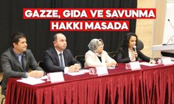 Bolu’daki İnsan Hakları Panelinde Üç Başlık Öne Çıktı: Gazze – Gıda – Savunma Hakkı