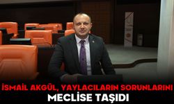 İSMAİL AKGÜL, YAYLACILARIN SORUNLARINI MECLİSE TAŞIDI