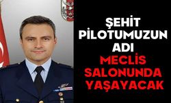 ŞEHİT PİLOTUMUZUN ADI MECLİS SALONUNDA YAŞAYACAK