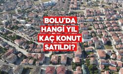 Bolu’da Hangi Yıl Kaç Konut Satıldı? 2013–2025 Verileri Açıklandı
