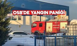 Bolu OSB’de Alevler Yükseldi, İtfaiye Soğutma Yaptı