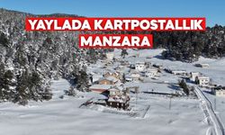 Bolu’nun Sessiz Cenneti Sarıalan Yaylası Kışa Teslim