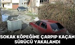 SOKAK KÖPEĞİNE ÇARPIP KAÇAN SÜRÜCÜ YAKALANDI