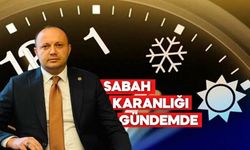 Bolu Milletvekili Sordu, Bakanlık Yanıtladı: İşte Yaz Saati Raporu