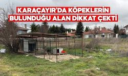 Karaçayır’da Köpeklerin Bulunduğu Alan Dikkat Çekti