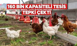 Mudurnu’da Planlanan Tavuk Tesisleri Tartışma Yarattı