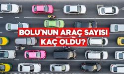 Bolu’da Kaç Araç Var? İşte Resmi Rakam