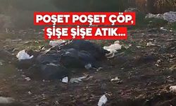 Bolu’daki O Görüntüler Sonrası Muhtar Devreye Girdi