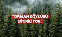 CHP Bolu İl Başkanı’ndan Orman Genel Müdürlüğü’ne Tepki