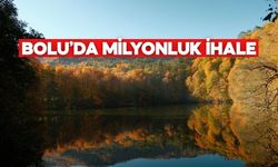 Bolu’nun gözbebeği Yedigöller için dev ihale